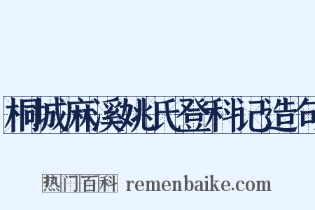 桐城麻溪姚氏登科记造句是什么意思的图片